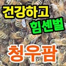 청우팜