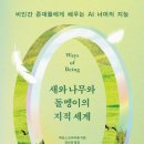 새와나무