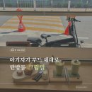 대전탄방초등학교 | 탄방동 크림밀 멜론라떼에 홀려 느긋한 오후 보내기 좋은 감성카페