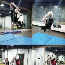 일산폴댄스/봉댄스/폴댄스가격/폴댄스효과/폴댄스독학/폴댄스후기/다이어트/전신운동/브라스멍키