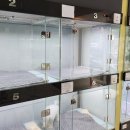 분당 요미독앤캣 강아지분양 고양이분양 이미지