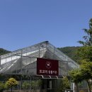 휴-in | 경기도/포천 서울 근교 나들이 아이랑 가기좋은 마이애니멀스토리 in평강랜드 솔직후기