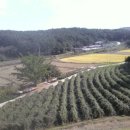 수철농장 이미지