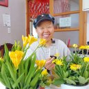 후리지아 이미지