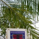 갑동농장 | [SEN2]유성갑동원예하우스 복합환경제어 스마트팜 설치후기