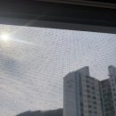 동양파라곤 앞 | 남양주 호평 파라곤 미세방충망 후기