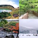 낭만의 제주도여행및 올레길 국내 최저가 최고급 펜션숙박 이미지