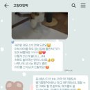 해애루민박 이미지