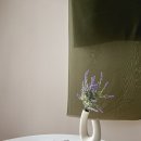 세븐일레븐(김해부원스타점) | 김해시 반려동물 동반 감성펜션 TOP 3 비교 후기 많은 곳