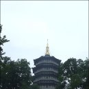 서호민박 이미지