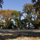 하늘숲초등학교 이미지