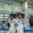 용인대송중태권도장 이미지