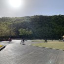 도원체육공원 농구장 이미지