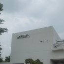 예쁜간판문화 | 함안 대형 카페 첼로(CELLO#), 독보적인 우드 인테리어와 루프탑 뷰가 예쁜 복합문화공간 내돈내산 후기