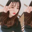 수연 이미지