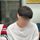 마이댕 이미지