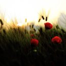 상동공원 이미지