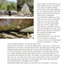 하늘닿은농장 이미지