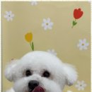 사계절, 멍 이미지