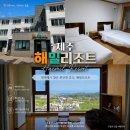 제주 해밀리조트 | 제주공항 근처 가성비 숙소 디럭스 트윈 오션뷰 애월 펜션 내돈내산