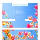 수성아트피아 대극장 이미지