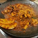 황금쭈꾸미 이미지