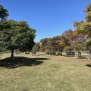 을숙도 철새공원 이미지