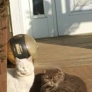 씨송펜션 이미지