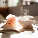 마이스토리 이미지