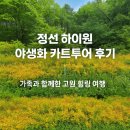 야생화길 | 🚙정선 하이원 야생화 카트투어 후기｜가족과 함께한 고원 힐링 여행🌼