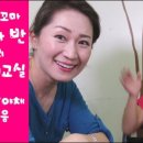 리아과일야채