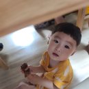 둥이족발 이미지
