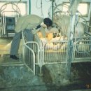 빛명상 효과 정말 있을까? 영남대 과학 실험으로 본 빛VIIT의 실체와 의미＜중요＞ 이미지