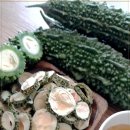 여주-0745 네이버블로그