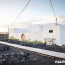 란사로테 이미지