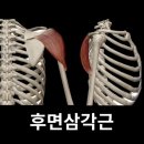 제이바디짐 이미지