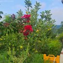 펜션 놀스페이스 이미지