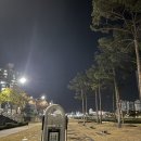 파리바게뜨 안동강변점 | 나의 22년 하반기 part.6 (feat. 어쩌다 안동)