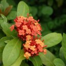 진해기술지원과(진해농업기술센터) 이미지