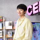 더셀럽 이미지