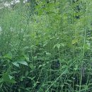 진주태양광 2발전소 이미지