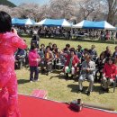 대흥초등학교 이미지