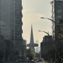 한빛스테이 | [대전] 도룡동 성심당 ddc 한밭수목원 엑스포 근처 깨끗한 에어비앤비 “즈즈스테이“