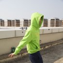 볼노스트