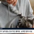 진심목장 이미지