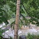 번암산휴게소 이미지