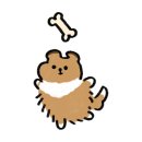 강아지고양이편의점강동