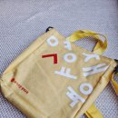 목동 와이즈만 후기 초등 과학 사고력 수업