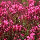 정확한행정사 이미지