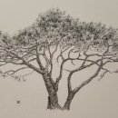 오션힐스 스타트하우스 이미지